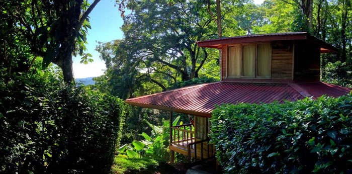 view of Costa Rica treehouse, perfect for fun Spring Break trip for families 